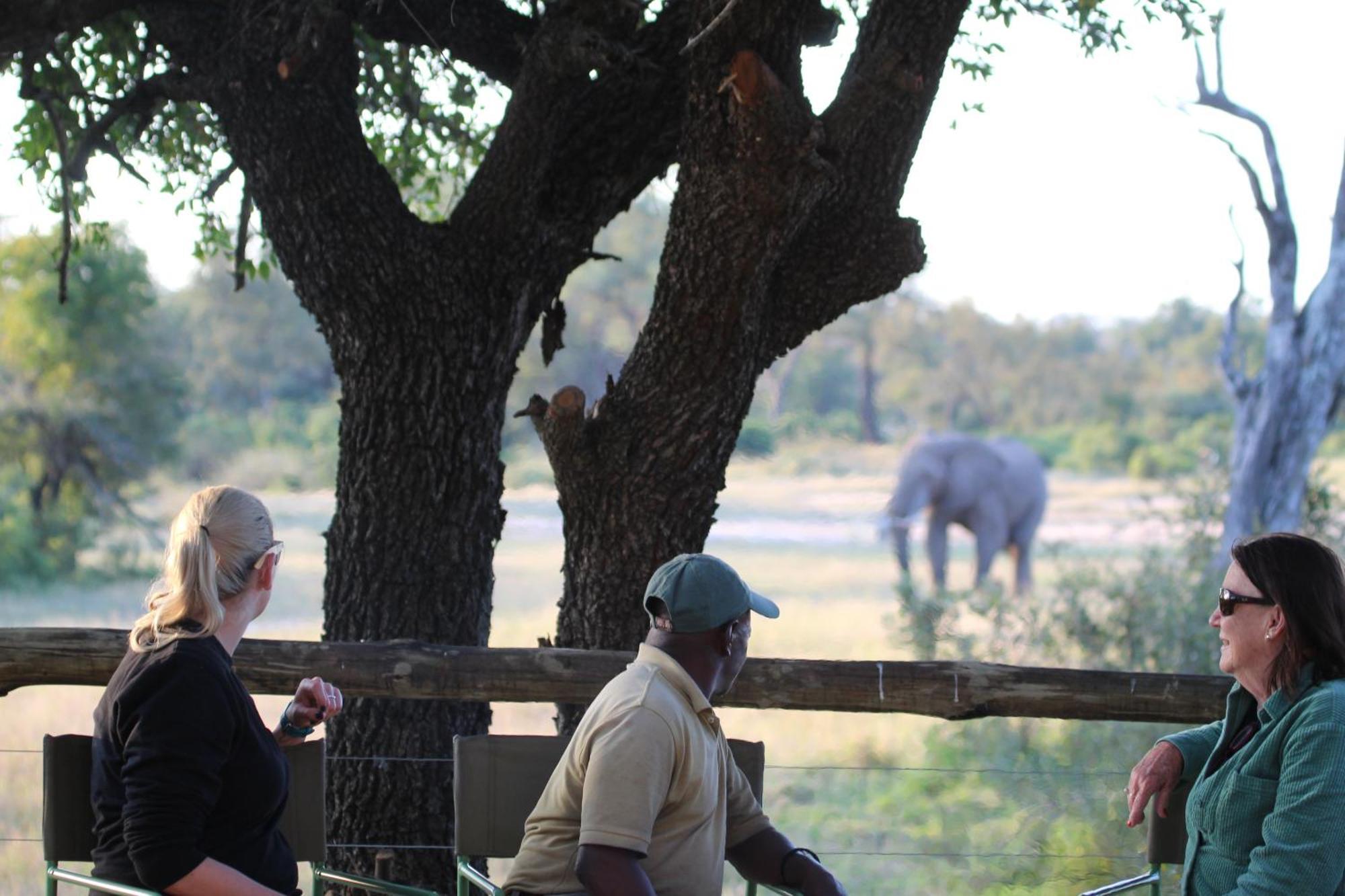 מלון סקוקוזה Rhino Walking Safaris מראה חיצוני תמונה