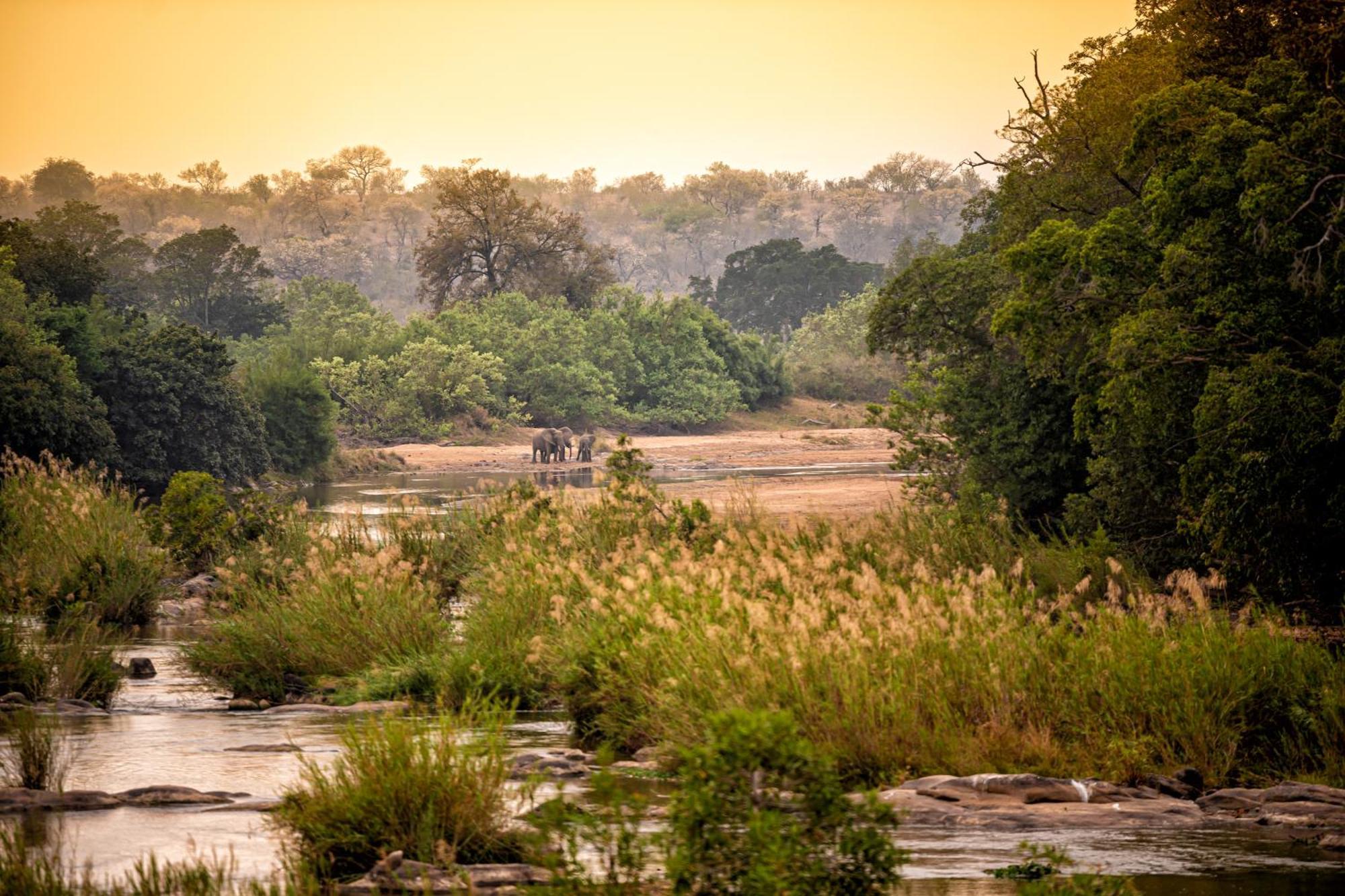 מלון סקוקוזה Rhino Walking Safaris מראה חיצוני תמונה