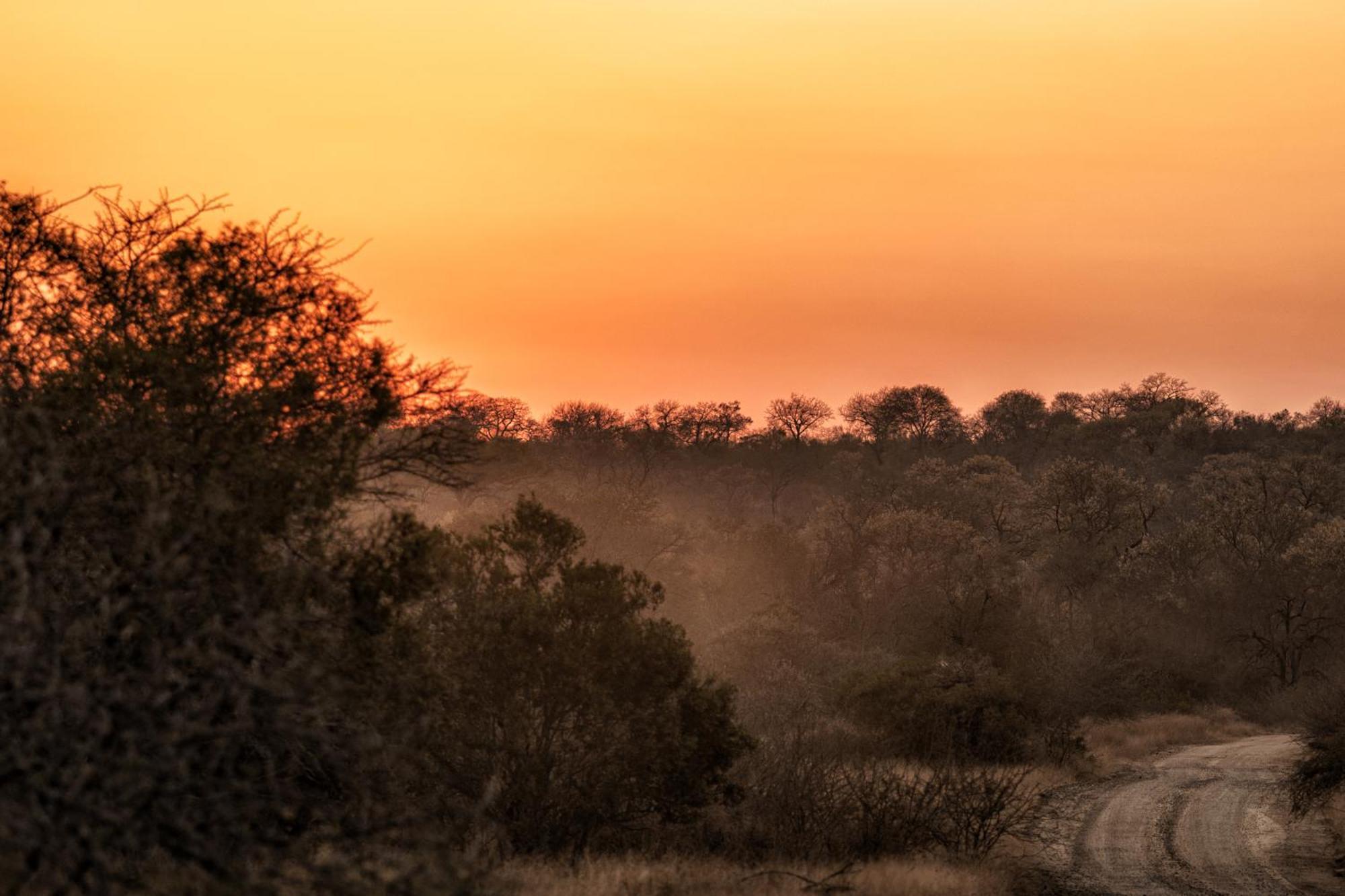מלון סקוקוזה Rhino Walking Safaris מראה חיצוני תמונה