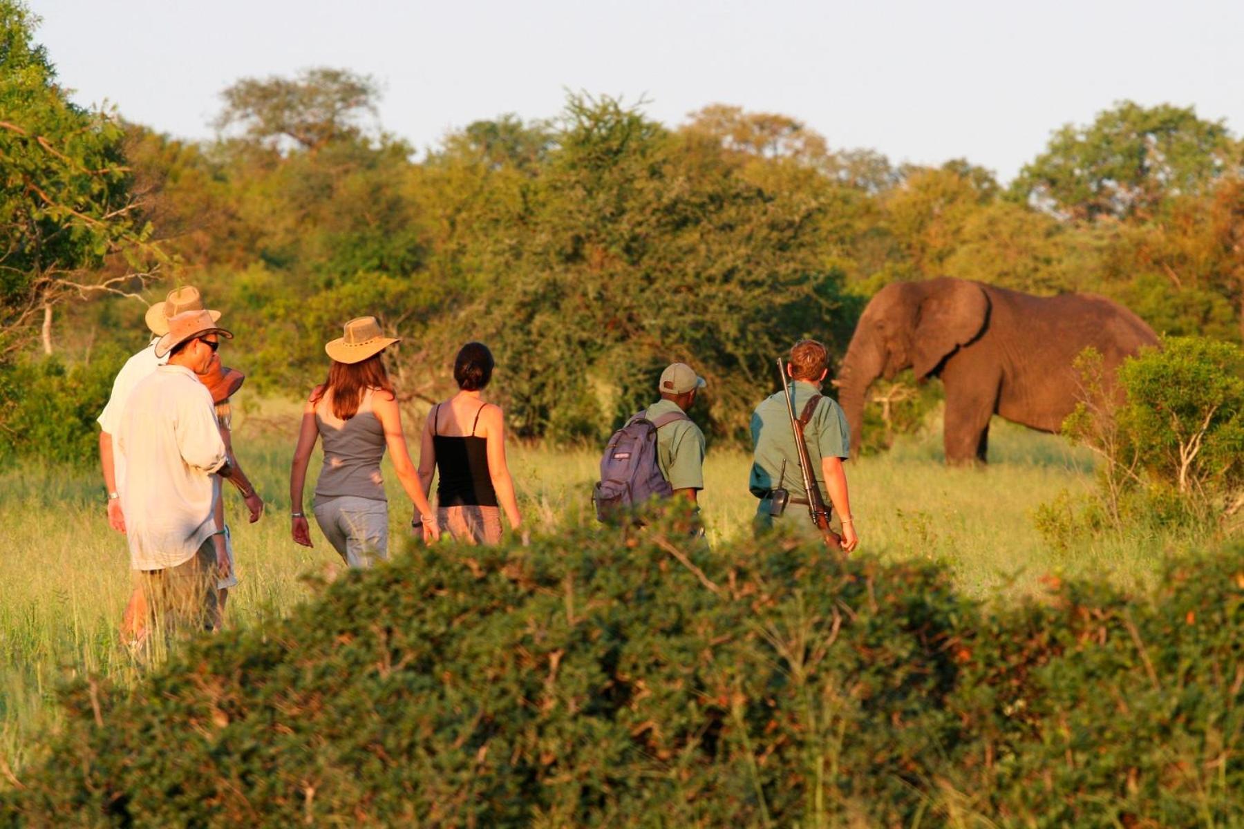 מלון סקוקוזה Rhino Walking Safaris מראה חיצוני תמונה
