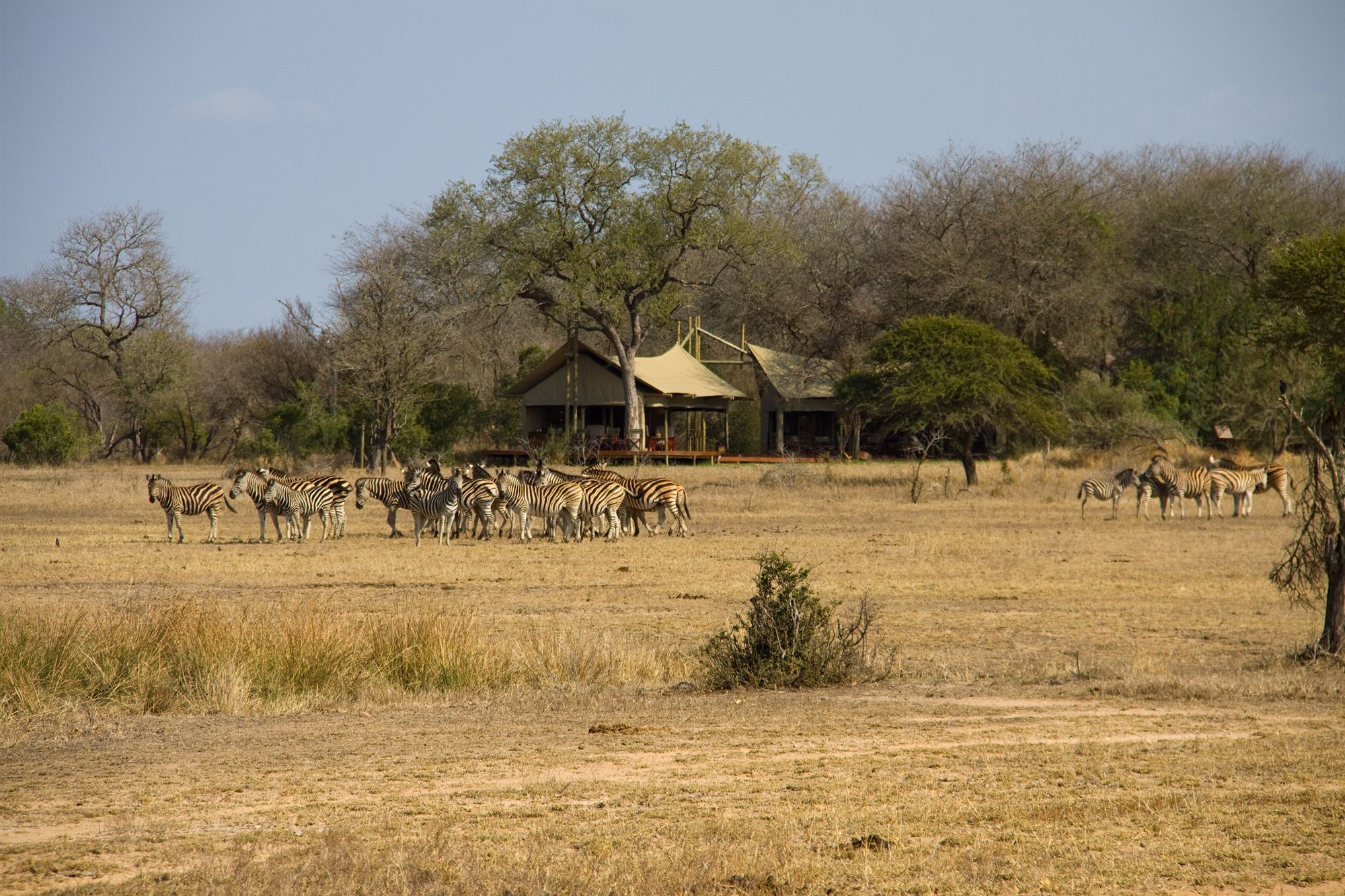 מלון סקוקוזה Rhino Walking Safaris מראה חיצוני תמונה