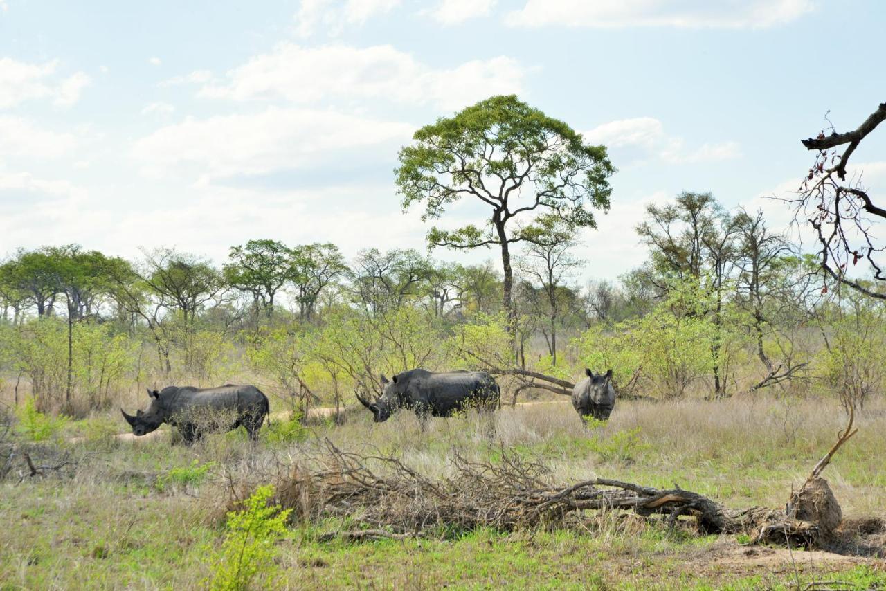 מלון סקוקוזה Rhino Walking Safaris מראה חיצוני תמונה